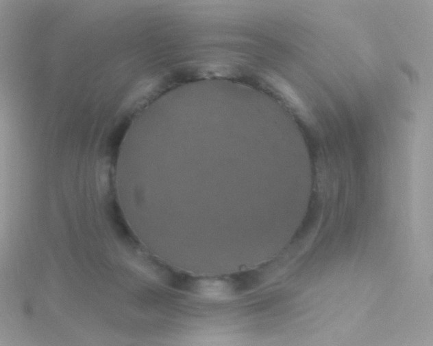 X0000115400169200911241314