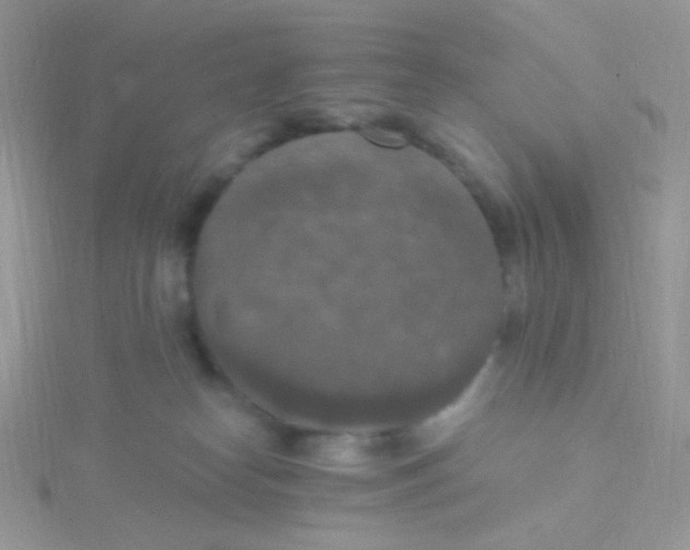 X0000115400182200911241314