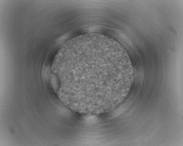 X0000115400189200911241314