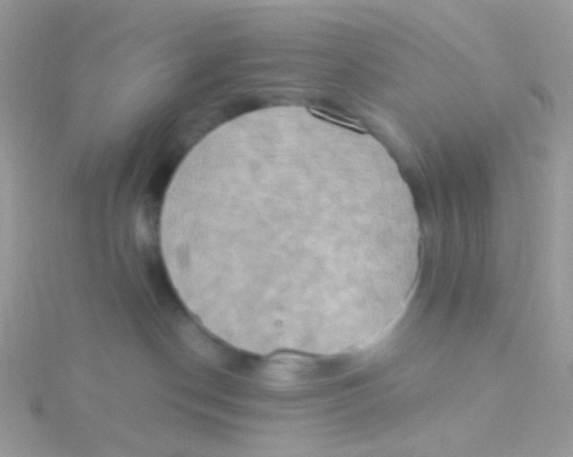 X0000115400190200911241314