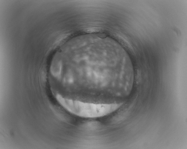 X0000115400210200911241314