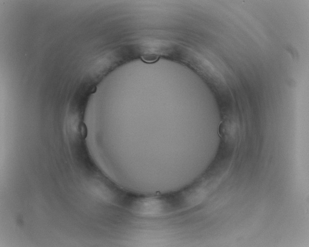 X0000115400219200911241313