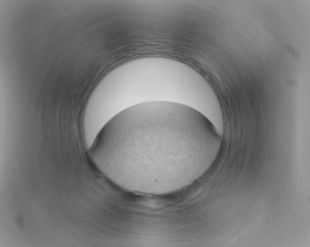 X0000115400221200911241313
