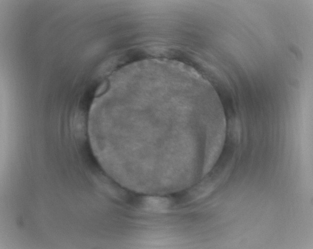 X0000115400234200911241313