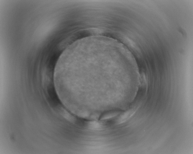 X0000115400238200911241313