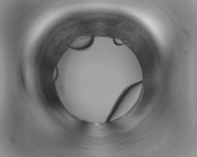 X0000115400239200911241313