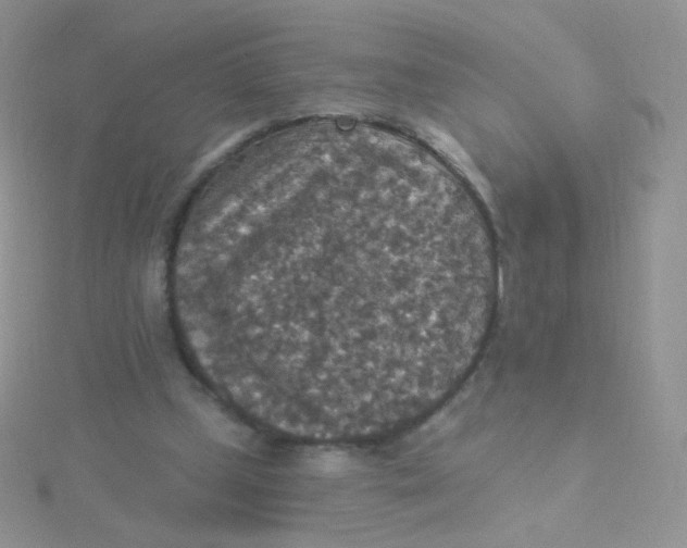 X0000115400249200911241313