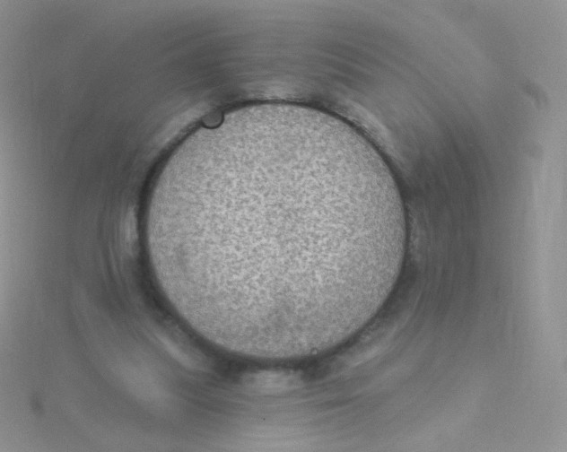X0000115400251200911241313