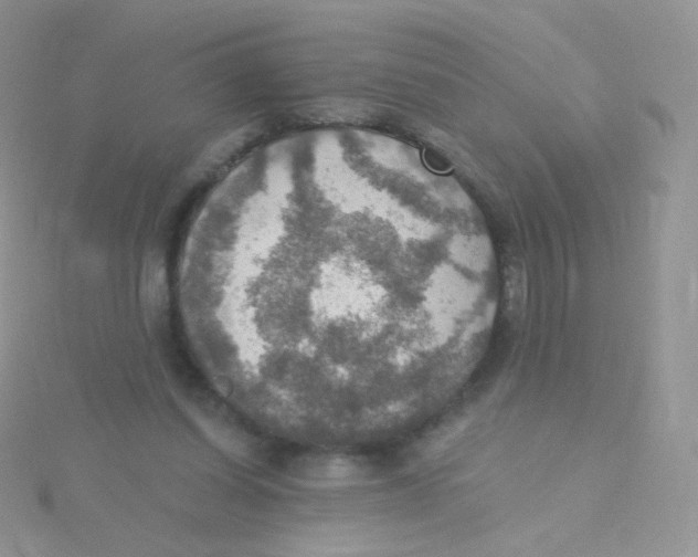 X0000115400254200911241313