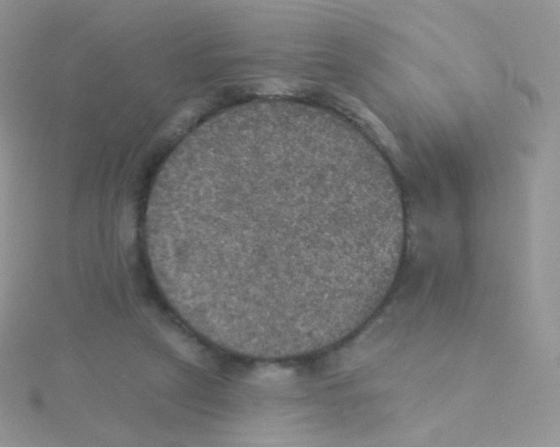 X0000115400257200911241313