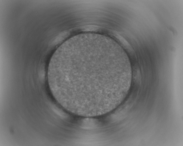 X0000115400261200911241313