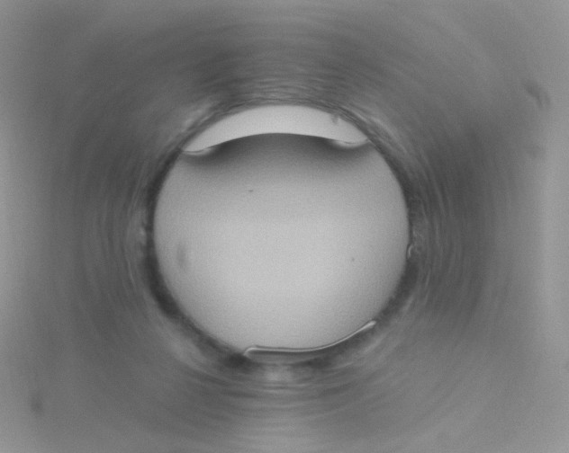 X0000115400264200911241313