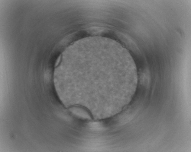 X0000115400283200911241313