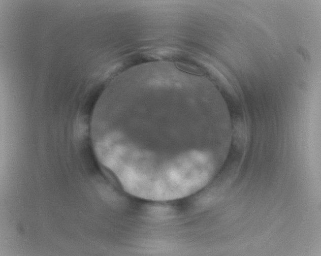 X0000115400284200911241313