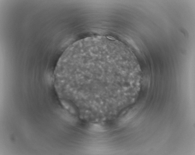 X0000115400285200911241313