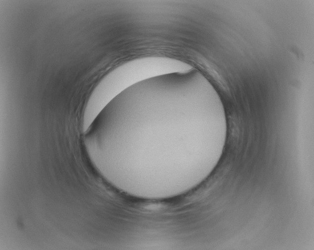 X0000115400313200911241312