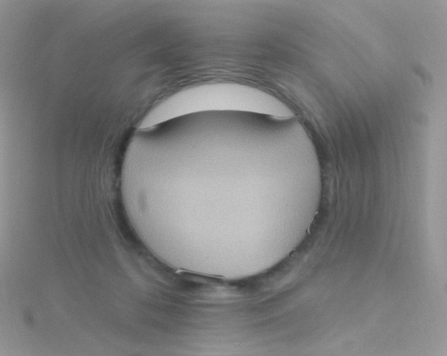 X0000115400316200911241312