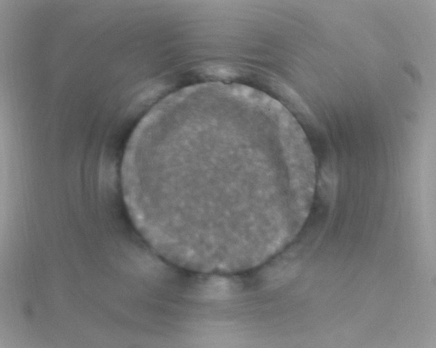 X0000115400330200911241312