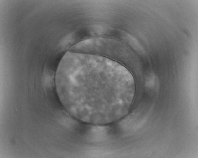 X0000115400332200911241312