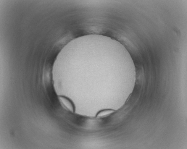 X0000115400334200911241312