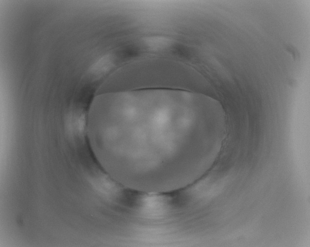 X0000115400336200911241312