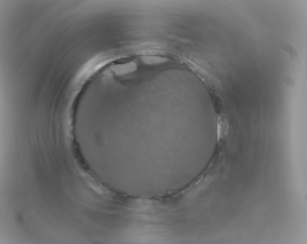 X0000115400339200911241311