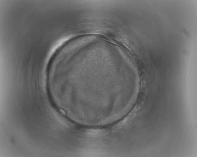 X0000115400342200911241311