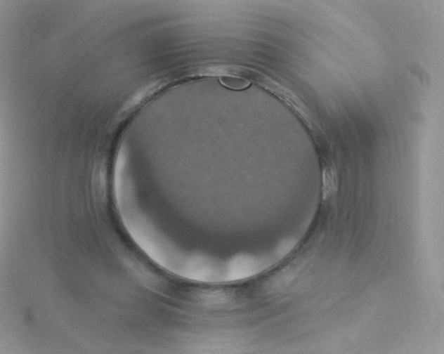 X0000115400349200911241311