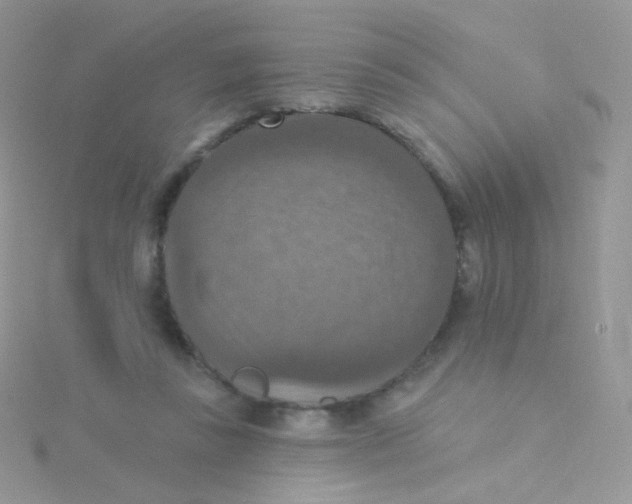 X0000115400355200911241312