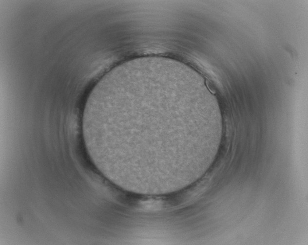 X0000115400362200911241312