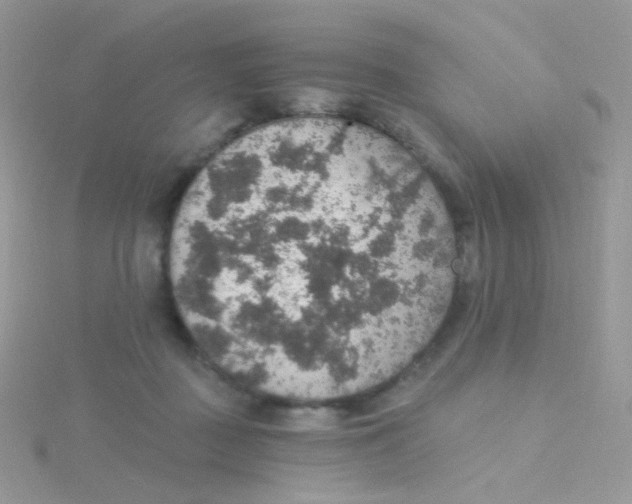 X0000115400363200911241312