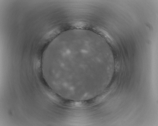 X0000115400365200911241312