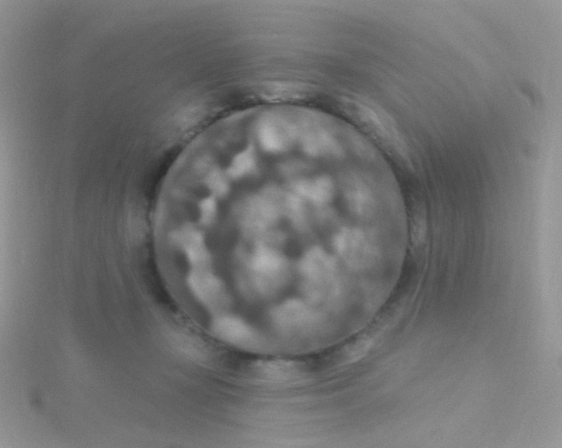 X0000115400367200911241312