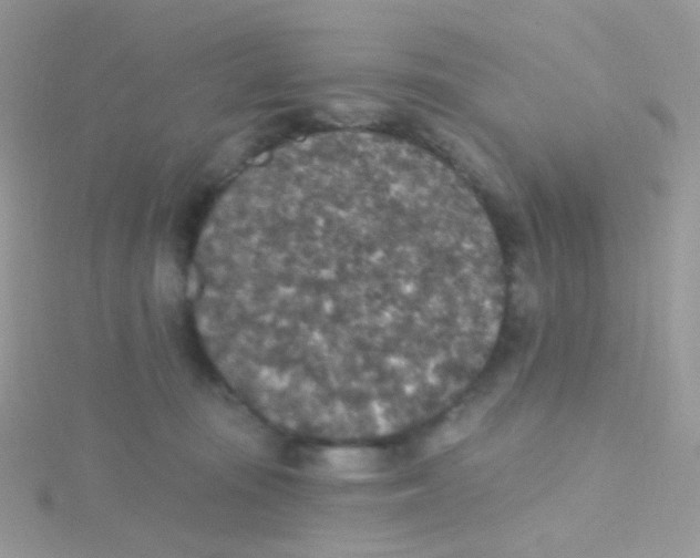 X0000115400371200911241312