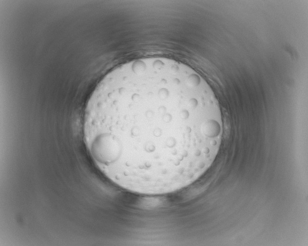 X0000115400418200911241311
