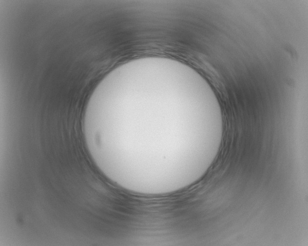 X0000115400419200911241311