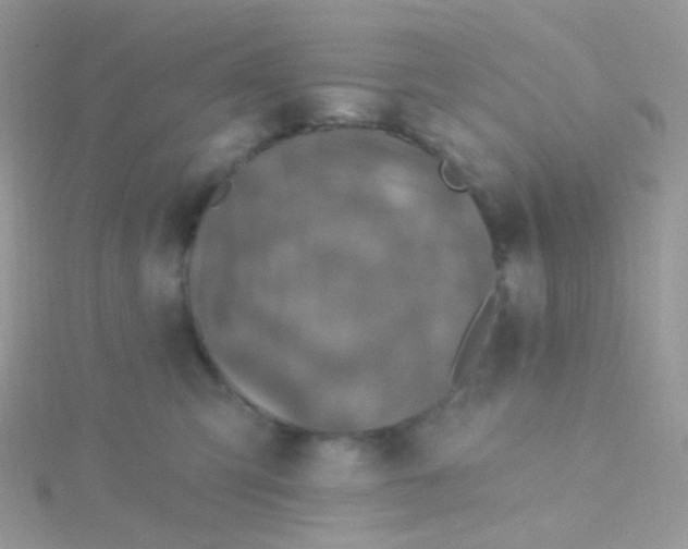 X0000115400423200911241311