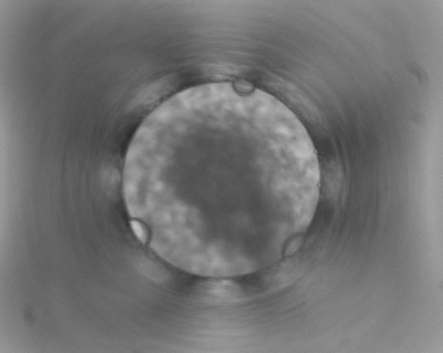 X0000115400427200911241311