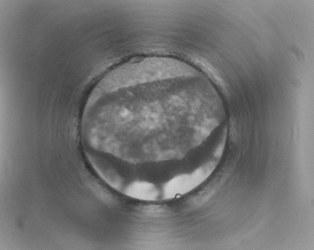 X0000115400449200911241310