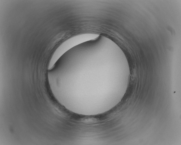 X0000115400452200911241310