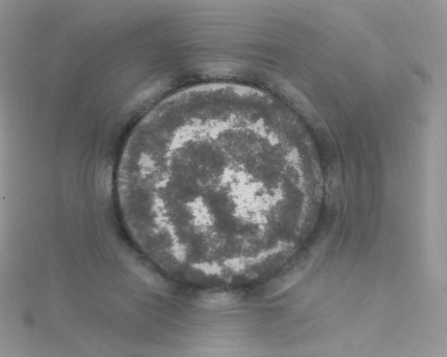 X0000115400454200911241310