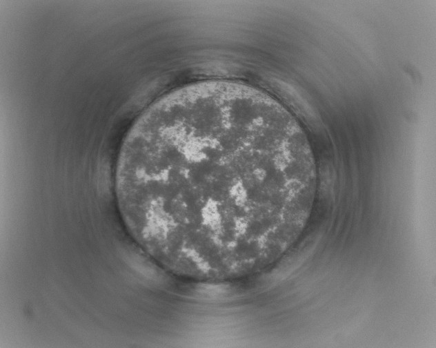 X0000115400457200911241310