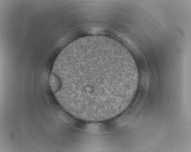 X0000115400461200911241310