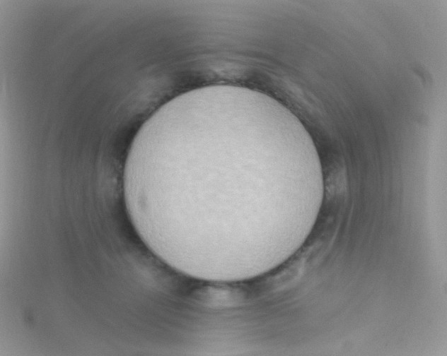 X0000115400464200911241310