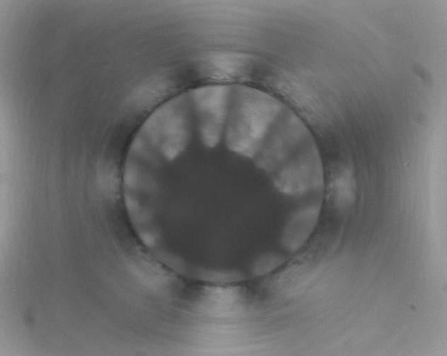 X0000115400469200911241311