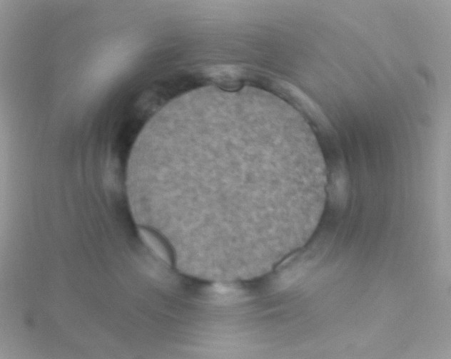 X0000115400477200911241311