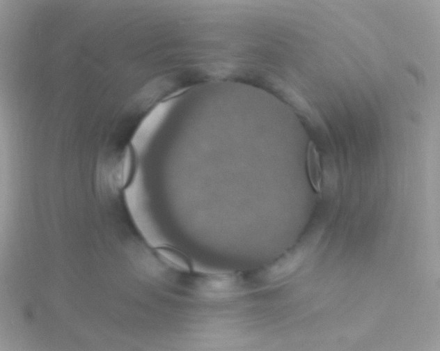 X0000115400479200911241311