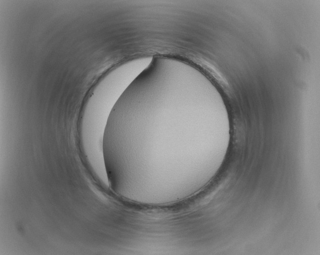X0000115400489200911241310