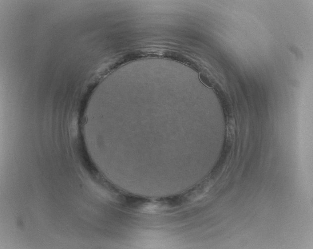 X0000115400504200911241310