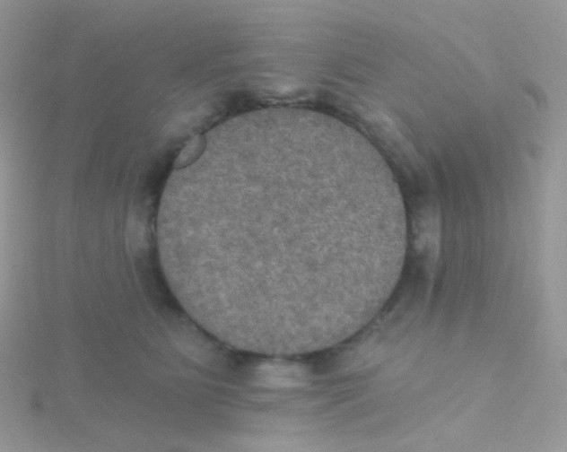 X0000115400515200911241310